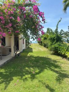Orchid Homestay