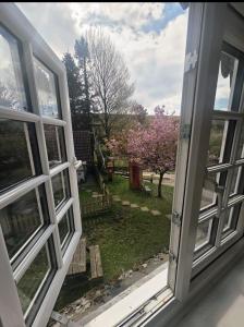Coynant Farm Guesthouse - Farm Park Stay