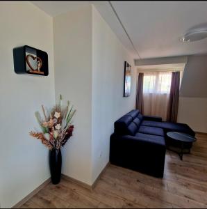 Apartment Simon Green Sky View