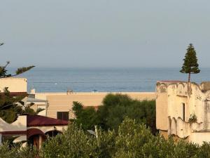 Cabo Pool & Sea 32