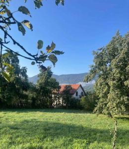 House in Little Mitarbi