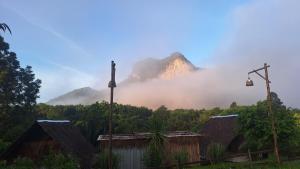 ขุนเขาฟาร์มสเตย์ KhunKhao Mountain Farmstay