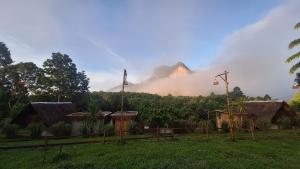ขุนเขาฟาร์มสเตย์ KhunKhao Mountain Farmstay