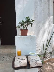 La cabaña del jaguar