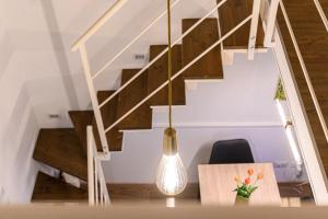 Interno 43