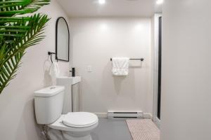 Plateau Powerhouse 5BR and 2BA Apt