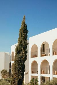 Nômade Temple Ibiza - New Opening