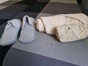 Romantic Apartment with Free Parking in Zurich
