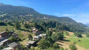Bel appartement Résidence Grand Panorama Haute Nendaz