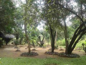 Guruge Villa Stay Habarana