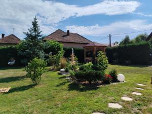 Casă cu gradina Untold-Electric Castle