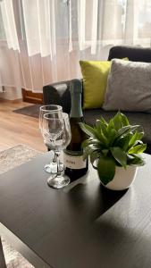 SunCoast terrace apartment