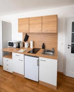 Premium Wenceslas Square Apartments - Příčná up