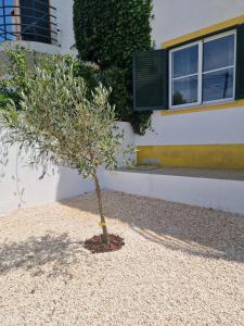 CasaSoldoré