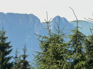 Jama Niedźwiedzia z widokiem na Giewont