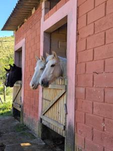 Big Valley Hotel Fazenda
