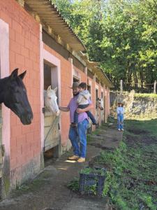Big Valley Hotel Fazenda