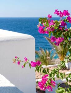 Pahivouni Studios & Suites Donousa-Island Greece