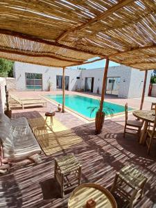 Beautiful Villa with Swimming Pool and Olive Garden