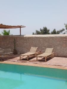 Beautiful Villa with Swimming Pool and Olive Garden