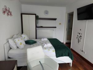 Apartman Zelena Oaza-SelfCheckIns parking free