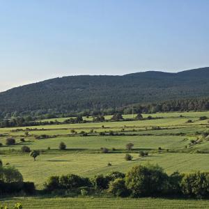 Casa Rural El Jaral