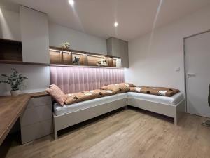 Luxury Apartment Nová Dubnica