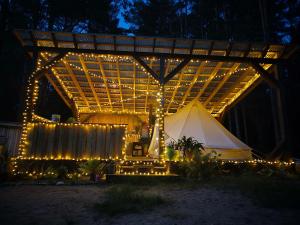 Miami Jungle Glamping Experience