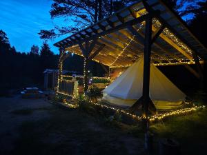 Miami Jungle Glamping Experience