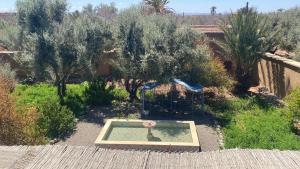 Riad Skoura
