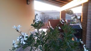 Hotel Tolin