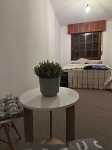 Casa de Gregorio Hostel