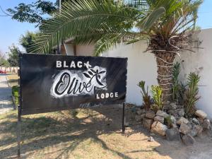 Black Olive Lodge