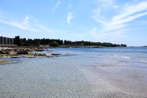 Apartments with parking space Zambratija, Umag - 27274