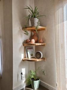 Natural Moroccan Home, Dedicated Workspace