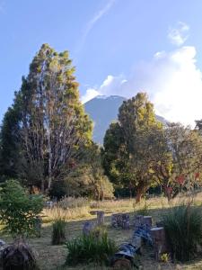 La Estancia de Runtún Km 7
