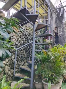 Cozy Mountain Guesthouse in La Trinidad, Benguet