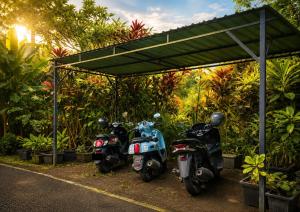 Jungle Hideaway Villas 2 - River Cafe