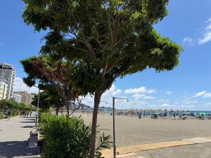 Beach Sea View Shengjini