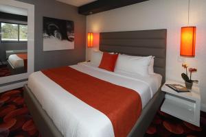 Queen Room room in Lexen Hotel - Hollywood