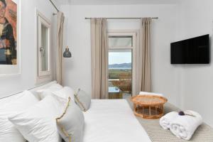 Luxury Paros Villa Villa Kallihroe Privacy & Luxury Private Pool