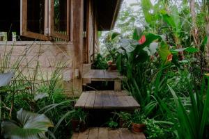 Cosy Cottage Living Harmoniously