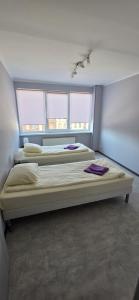 LionEstateHostel