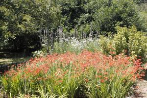 Nibelheim Self Catering Cottage