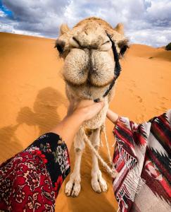 Merzouga Star Luxury camp