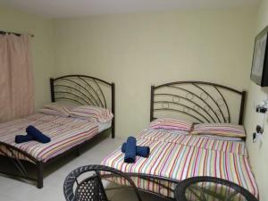 Alis Guest House
