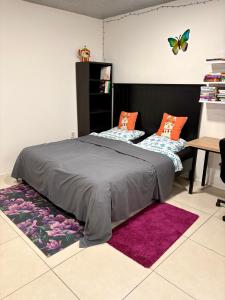 Priestranný apartmán v centre mesta