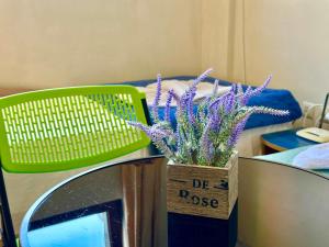 Comfortable Studio in Summer Breeze
