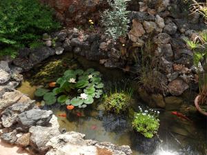 La Bastide des Templiers photo 15