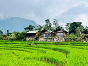 Wooden House Happiness Authentic Dao Village Escape